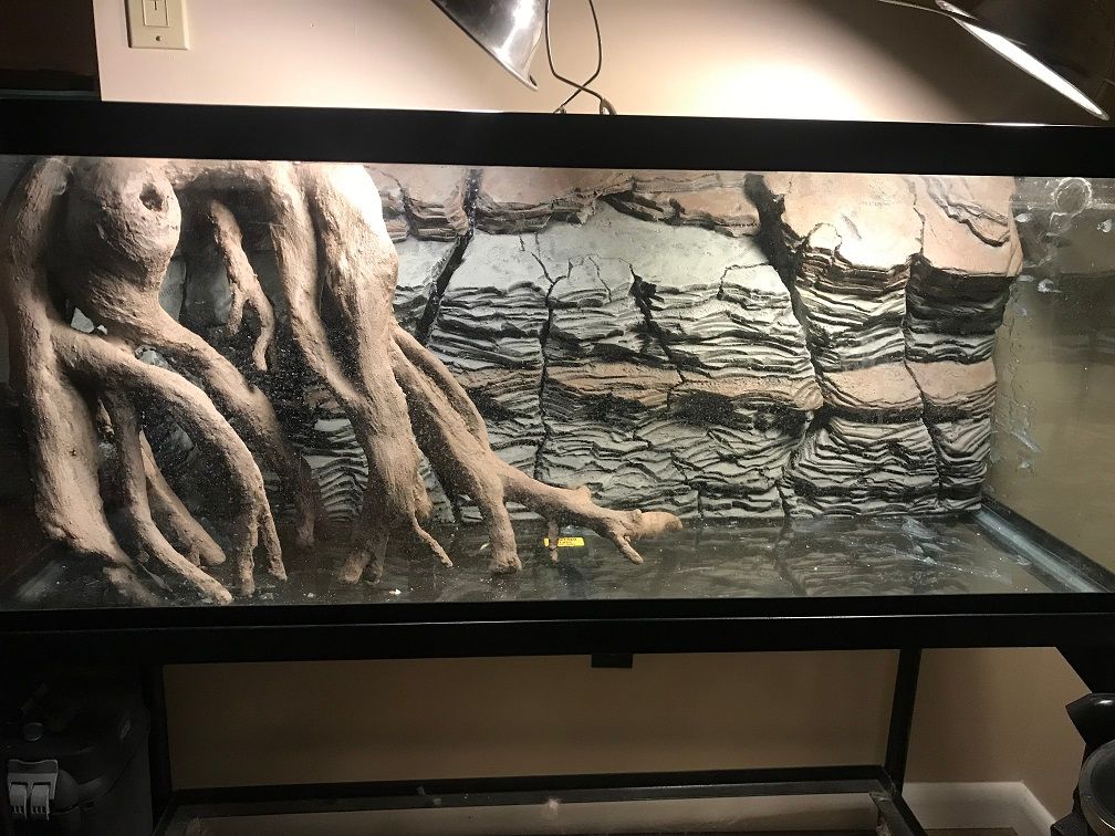 DIY 3D Styrofoam Aquarium Background with DIY Roots US Native Stream
